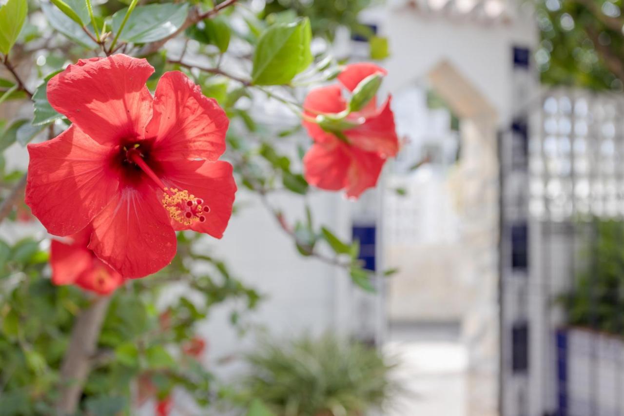 Vila Mi Casa Caleta De Velez Exteriér fotografie